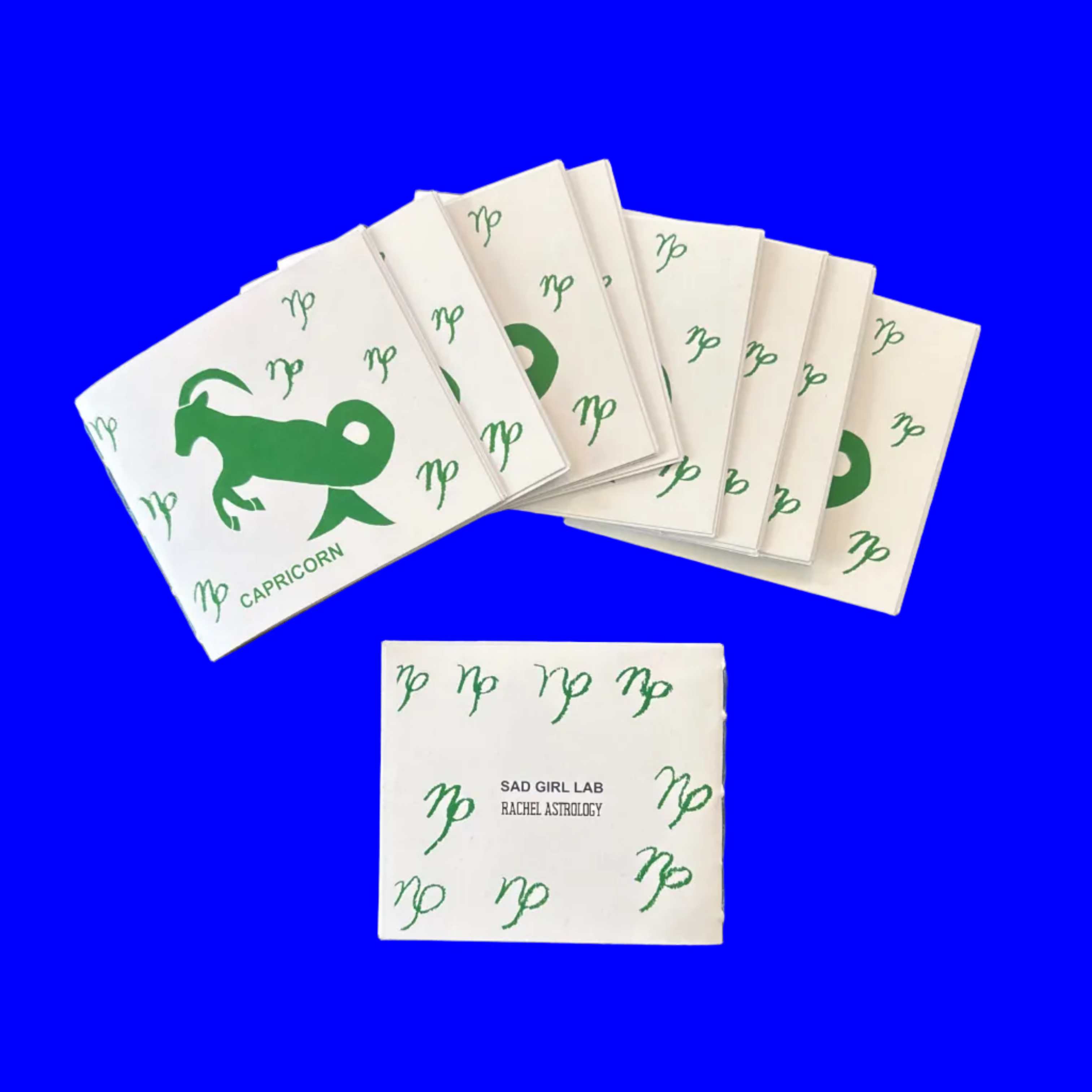 Small 12-page paper booklet (zine) with a print of a capricorn on display, 4.25 inch by 3.66 inch dimension. 