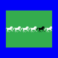 Linocut of white horses running with a black horse towards the front. Green background. 