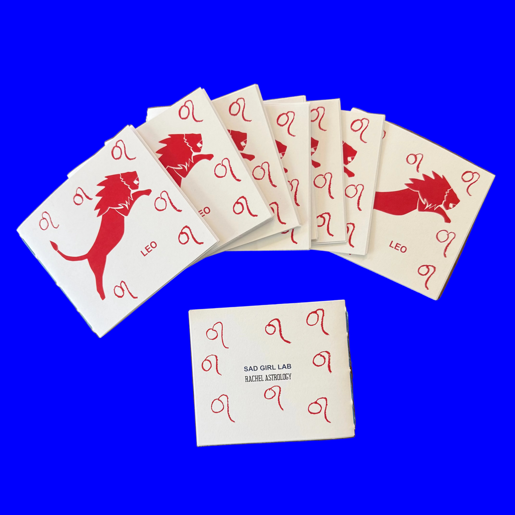 Small 12-page paper booklet (zine) with a print of a lion jumping, Leo on display, 4.25 inch by 3.66 inch dimension. 